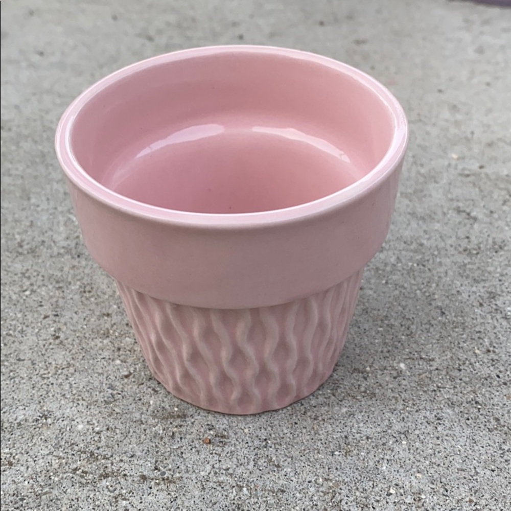 Light pink succulent seed starter pot
